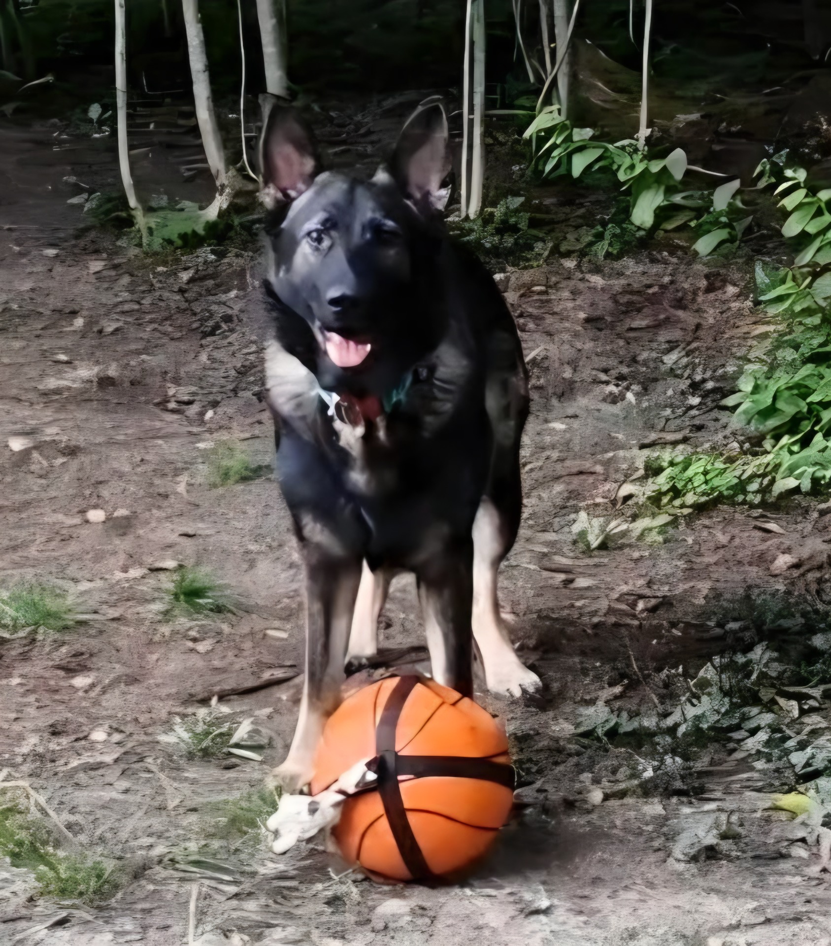 Kami